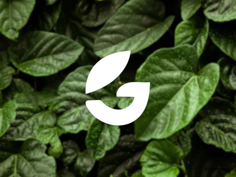 Branding & Design — Brand Identity portfolio by a Future Vision Computer Institute student
