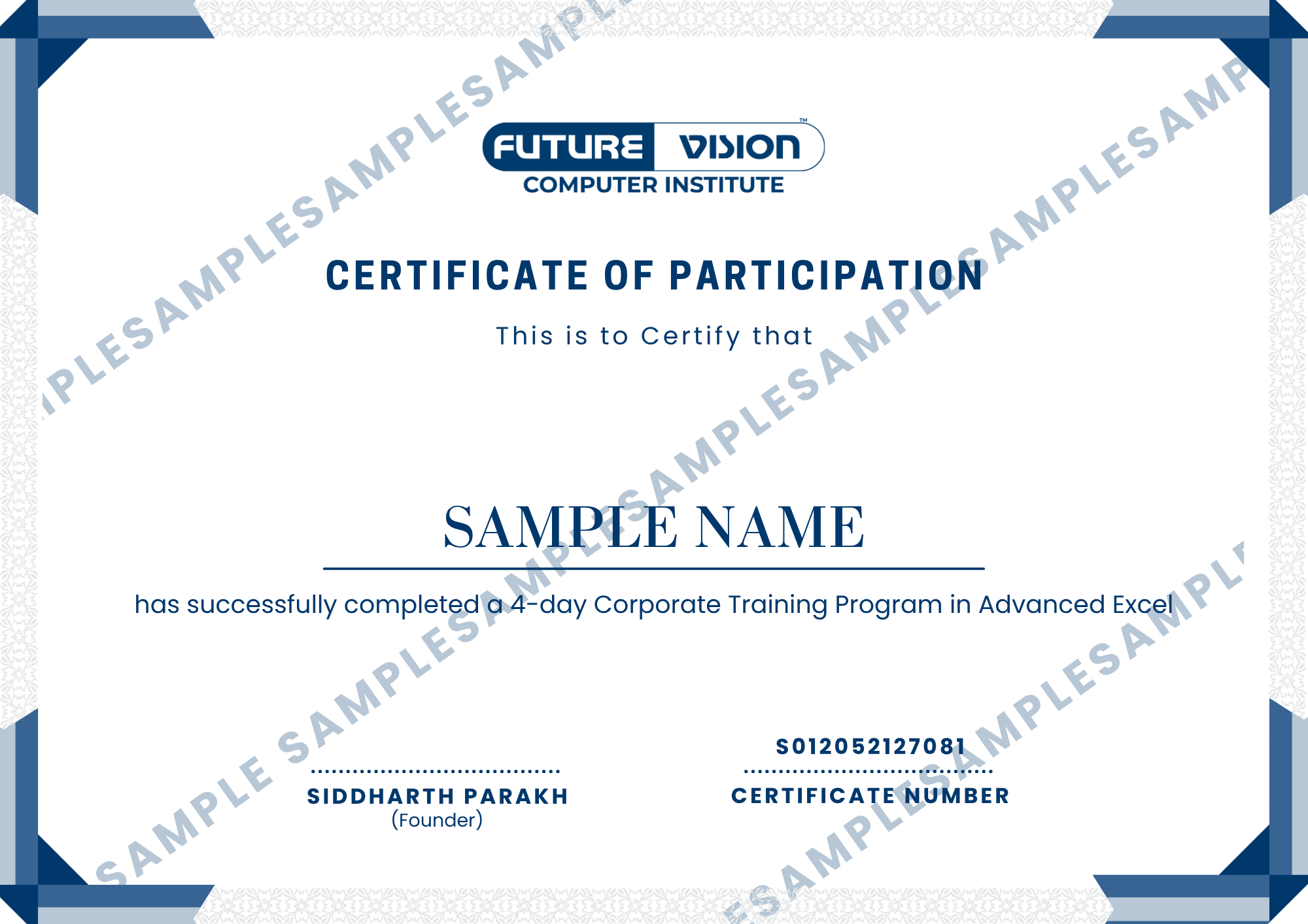 Sample Future Vision Computers certificate