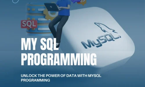 MySQL Programming