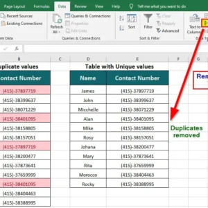 Excel Find and Remove Duplicates