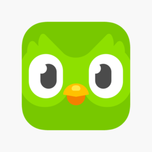 Case Study : How Duolingo cracked the Indian market