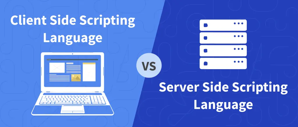 website developer classes, difference-between, client-side, server-side